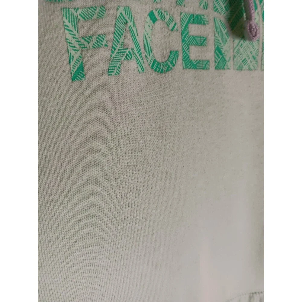 The North Face Womens Pullover Hoodie Half Dome Light Green Sz Small